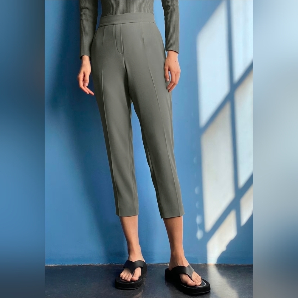 NWOT ARITZIA Babaton Conan Pant SZ 4